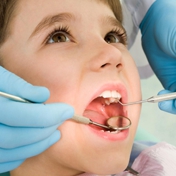 Gallery Image Number 5
