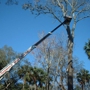 Specialty Tree Care And Landscaping LLC