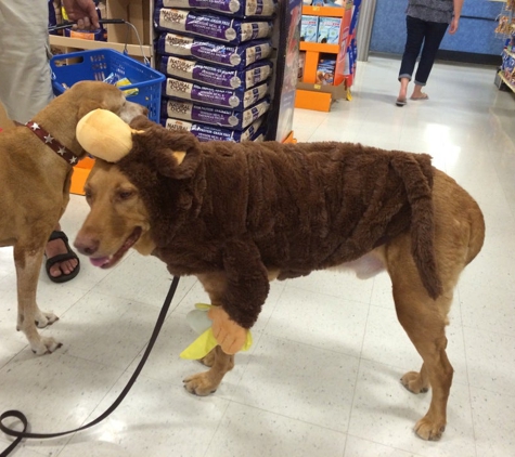 PetSmart - Warminster, PA