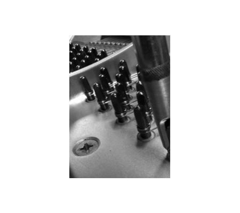 Emanuel Rey Mobile Piano Builder & Technician - Winmalee, NSW