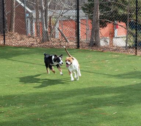 Harmony Animal Hospital - Apex, NC