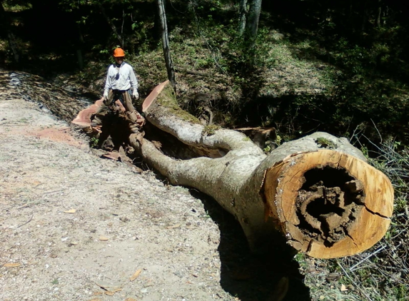 Golden State Tree Service