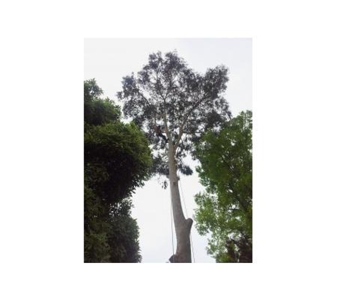 Arborform Tree Service - Fairfield, VIC