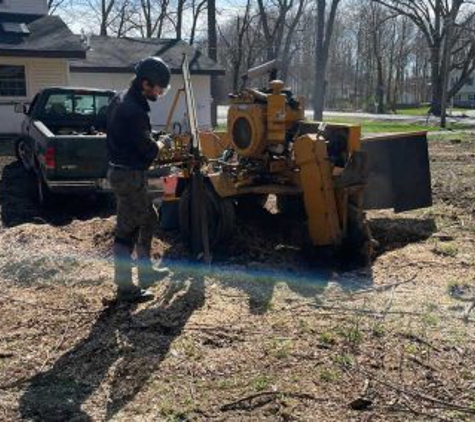 Alex Landscape Tree Service LLC - Fishkill, NY