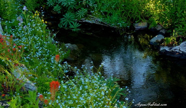 Ponds by Biologists - West Linn, OR