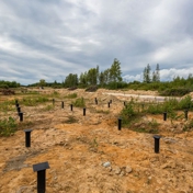 Gallery Image Number 7