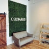 CBD Haus gallery