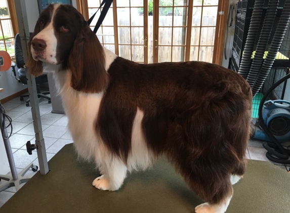 Wags & Wiggles Grooming Salon - Longmont, CO