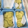 Fresh Food Produce gallery
