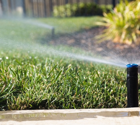 Robinson Landscapes - Bellbrae, VIC