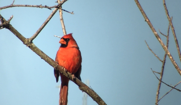 Prime Hook National Wildlife Refuge - Milton, DE