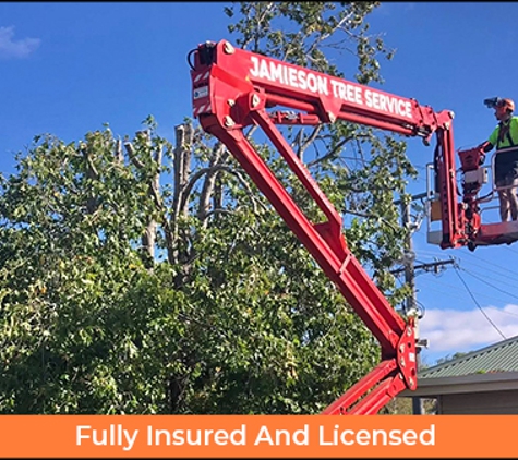 Rob Jamieson Tree & Stump Removal - Colac East, VIC. Fully Insured And Licensed