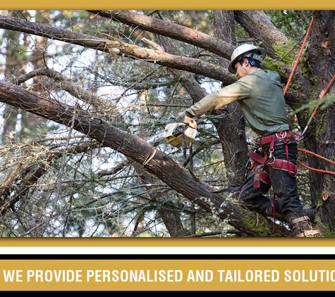 Specialised Tree Services - West Gosford, NSW. We Provide Personalised And Tailored Solutions