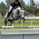 Parkwood Equestrian Ctr