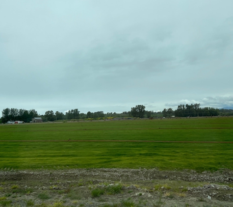 Lefeber Turf Farm - Mount Vernon, WA