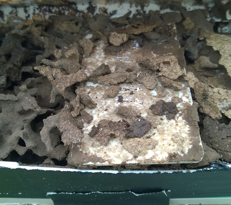 Termitedoc Pest Control - Cardiff, NSW. Senticon Baiting