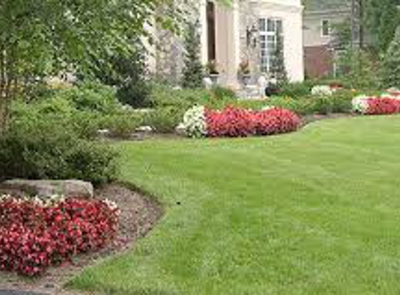 Lawn Dove Landscape Services - Tampa, FL