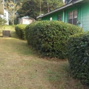 Mills Lawn Service - Landscape Contractors