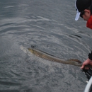 Voyageurs Adventures- Kabetogama Fishing Trips! - Fishing Guides