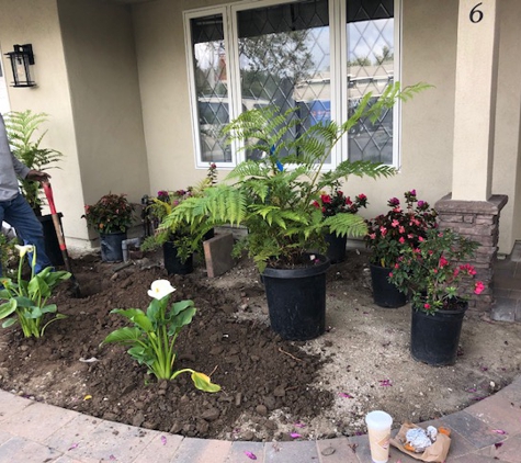 salinas landscaping - Anaheim, CA. Front landscape going in