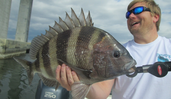 Shore Thing Fishing Charters - Bay Saint Louis, MS