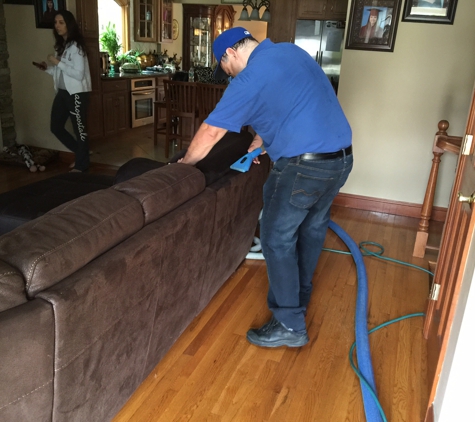 Spotless Carpet Cleaning - Westbury, NY