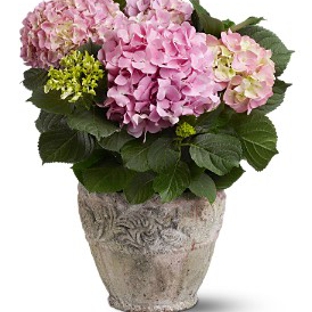 Selden Florist, Inc. - Selden, NY