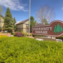 University Square Apartments - Real Estate Management