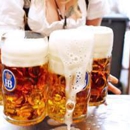 Hofbrauhaus St Petersburg - Brew Pubs