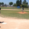 Garden Grove Pony Baseball gallery