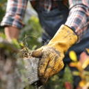 E&R Tree Service - Tree Service