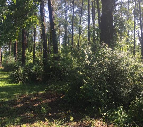 Brelands Land Clearing & Forestry Mulching - Shreveport, LA