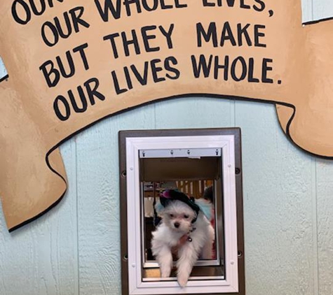 The Unique Pet Boutique - Sun City West, AZ