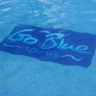 Go Blue Tours