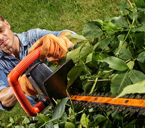 Kai's Affordable Tree Maintenance, LLC - Haleiwa, HI