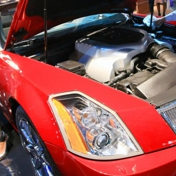 Gallery Image Number 7