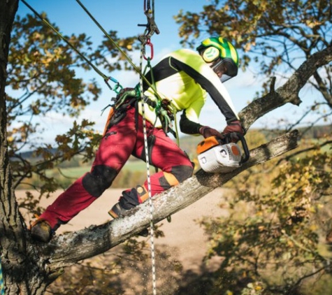 Flora Tree Services - Gungahlin, ACT. Tree Pruning