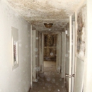 All Florida Water & Fire Restoration Of Central FL - Mold Remediation