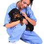 Value Veterinary Clinic