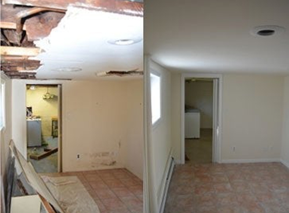 Disaster Restoration Solutions Inc - Glenview, IL