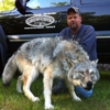 Green Creek Taxidermy gallery