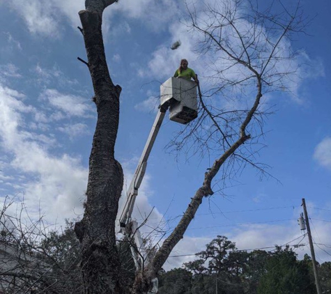 Charles Duff Tree Service. Bucket truck tree service