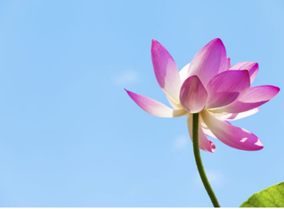 Lakeside Psychology Services (Annika Carroll) - Toronto, NSW