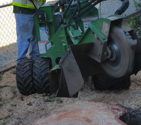 Valley Tree Service - Vacaville, CA