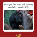 100th Monkey - Directory & Guide Advertising