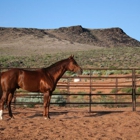 Lava Bluffs Equestrian Center