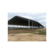 Gallery Image Number 7