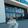 Photo #01