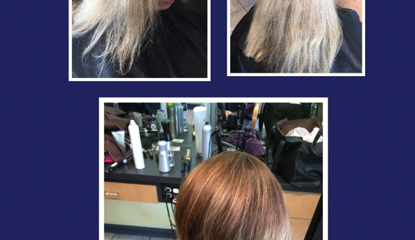 E. Forlini salon - Saint Clair Shores, MI