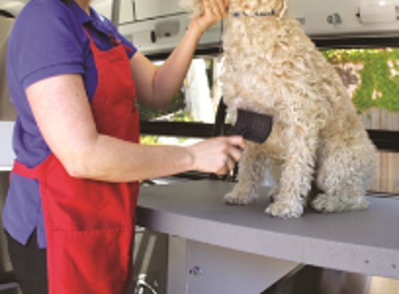 Aussie Pet Mobile Upper Bux-Mont - Quakertown, PA